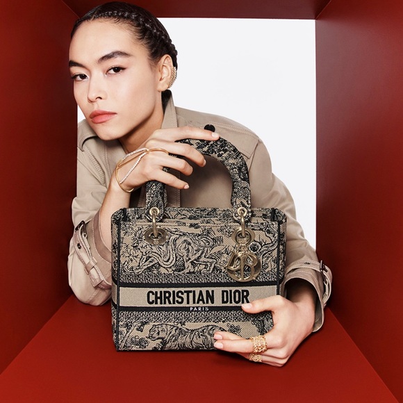 New Christian Dior MEDIUM LADY D-LITE BAG
Brown Toile de Jouy Embroidery - Picture 8 of 8